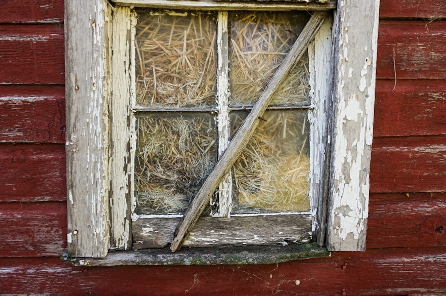 image 53