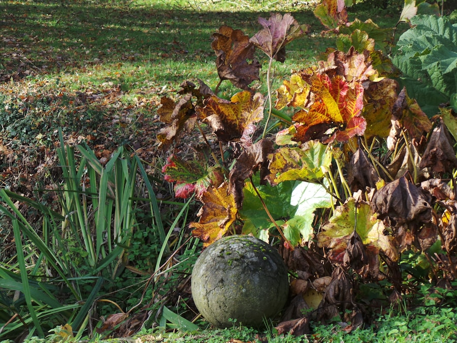 Top Autumn Gardening Tips for a Beautiful Fall Harvest