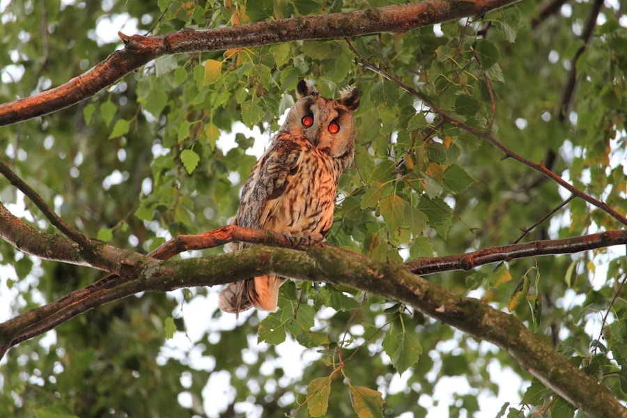 Autumn Wildlife: A Season of Spectacular Sightings