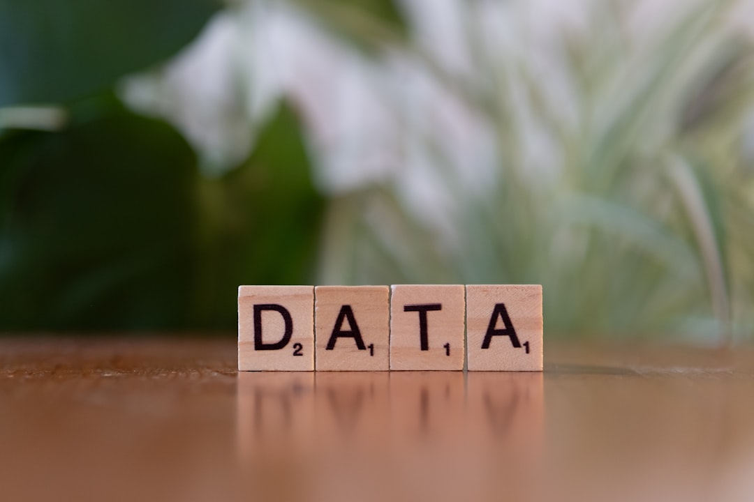 Navigating the New Data Privacy Law