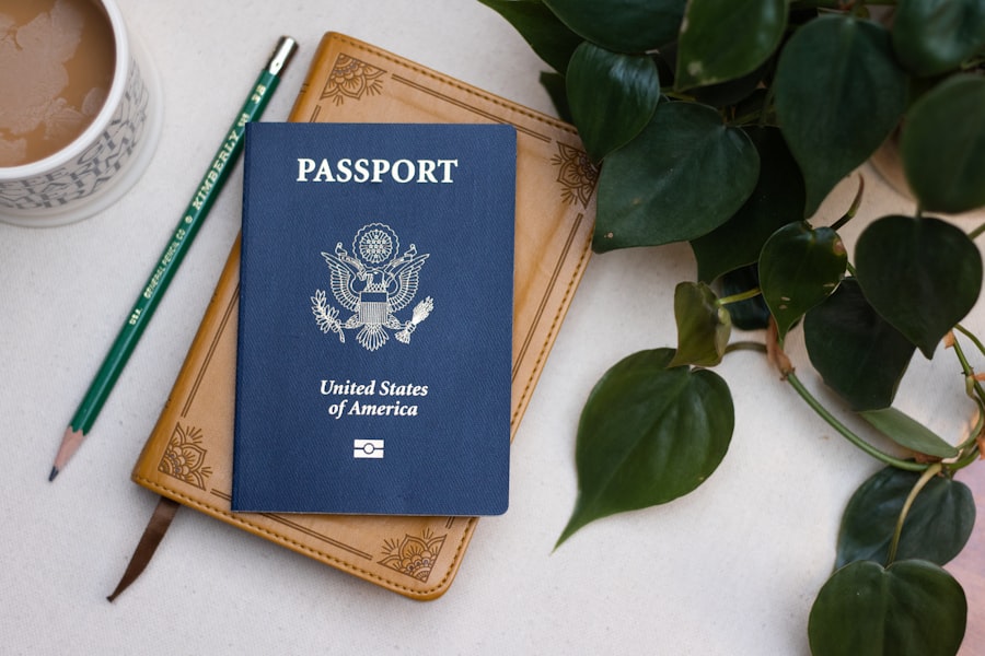 visitor visa refusal
