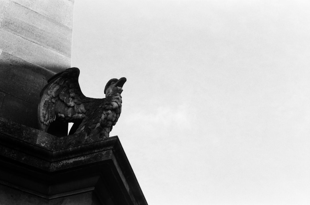 Whistleblower Protection Laws: Encouraging Transparency